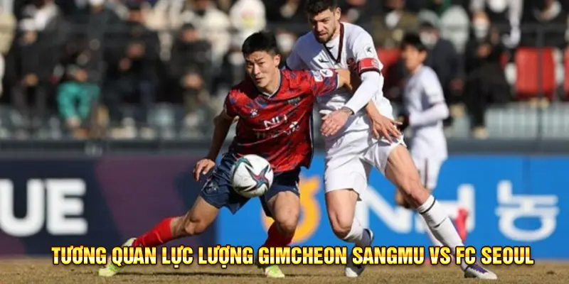 So sánh đội hình và hiệu suất thi đấu