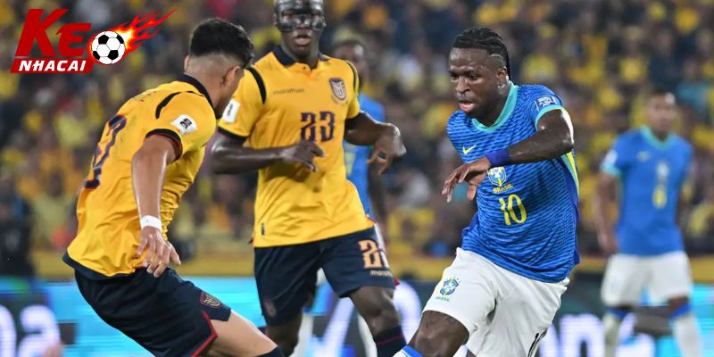 Ecuador đấu với Brasil: Thế trận cân bằng cho 2 đội