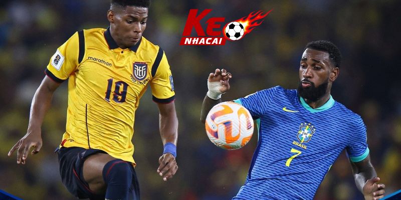 Ecuador đấu với Brasil: Qua nhiều thay đổi vẫn cân bằng từ 2 đội