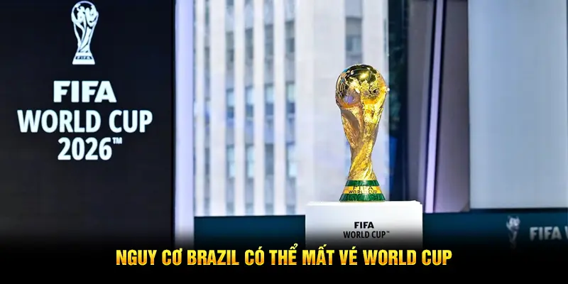 Nguy cơ Brazil có thể mất vé World Cup